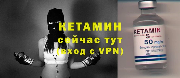 крисы Алексин