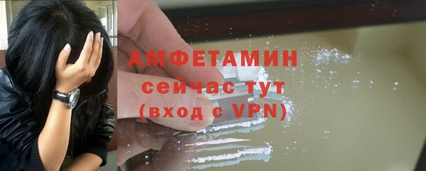 гидра Дегтярск