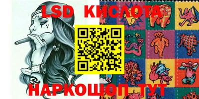 амф Кингисепп