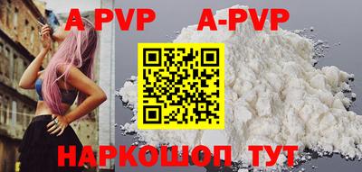 амф Кингисепп