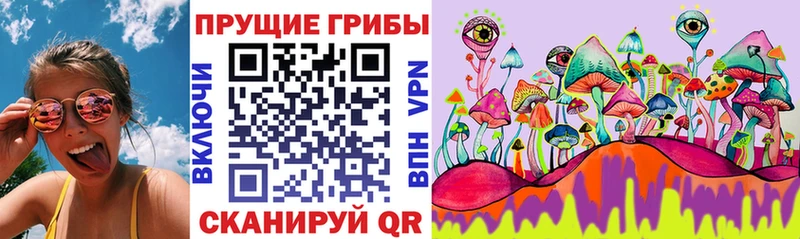 Галлюциногенные грибы Psilocybine cubensis Тобольск