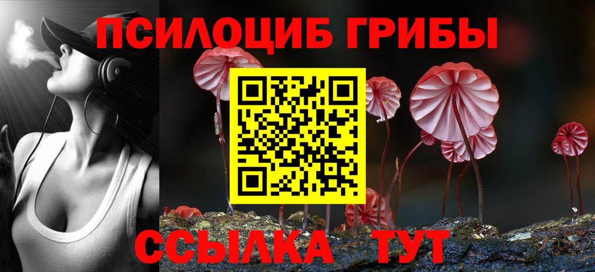 Тобольск  Галлюциногенные грибы Psilocybine cubensis  Вход с VPN 